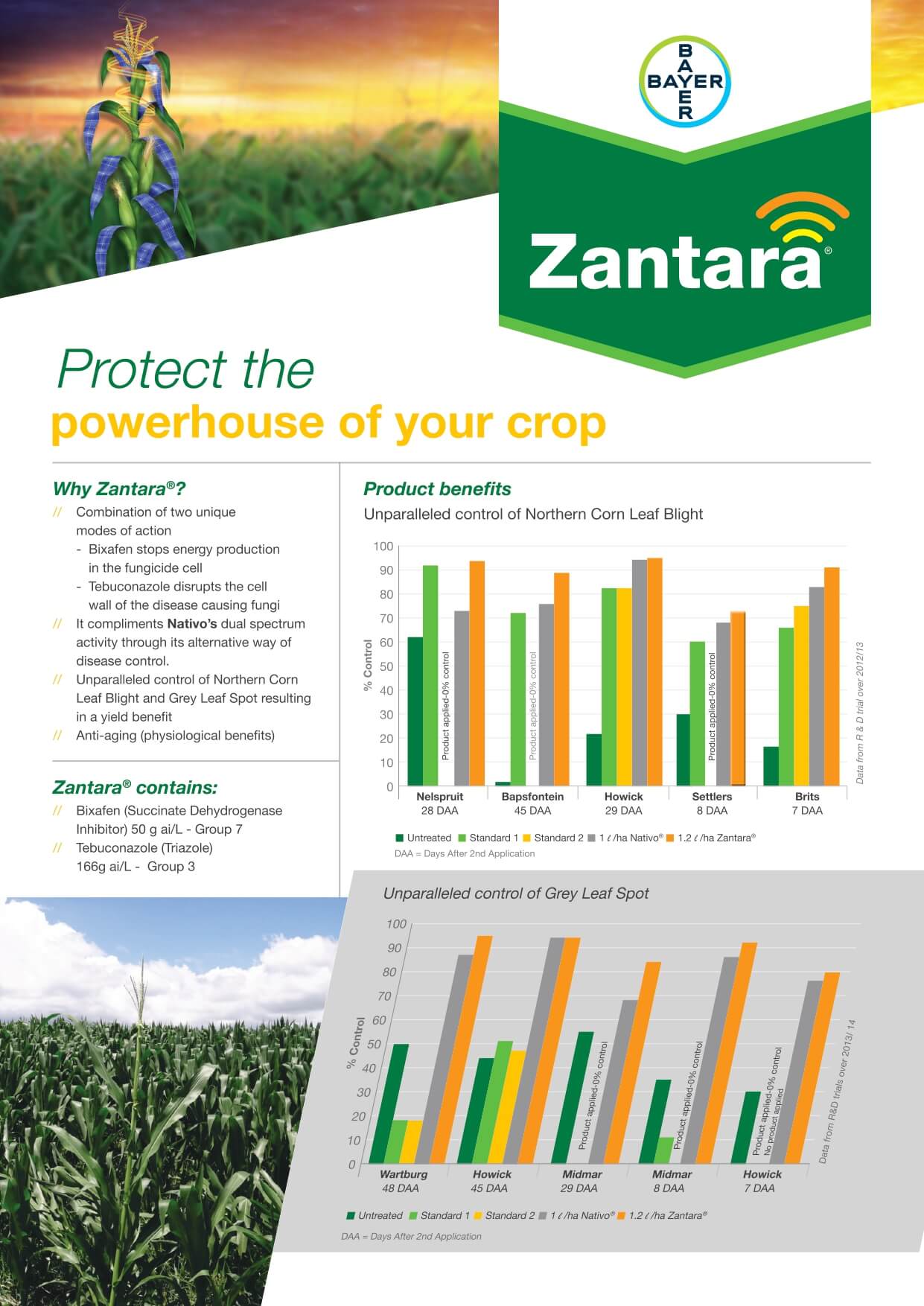 Bayer Maize Zantara Leaflet