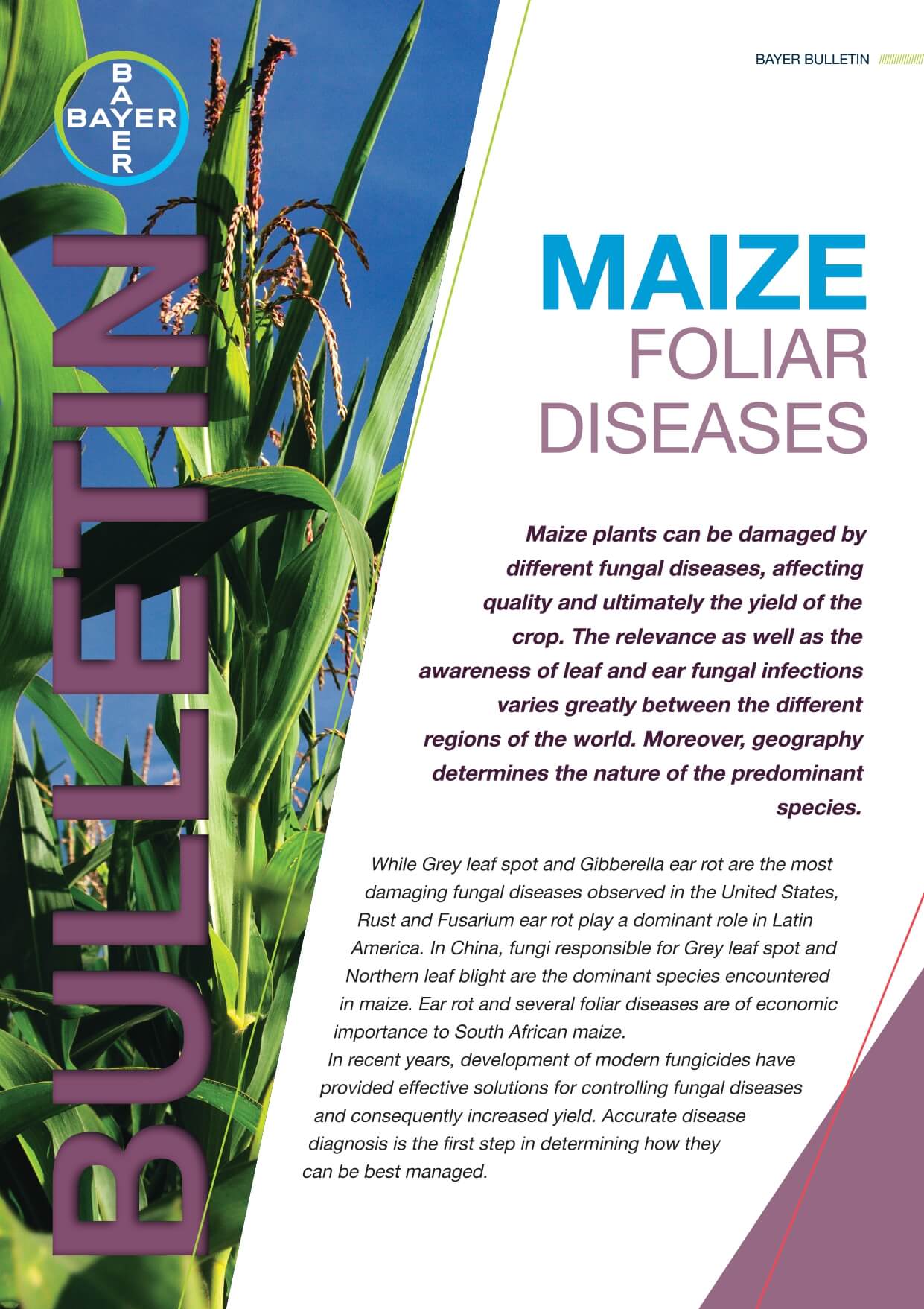 Maize - Foliar Diseases