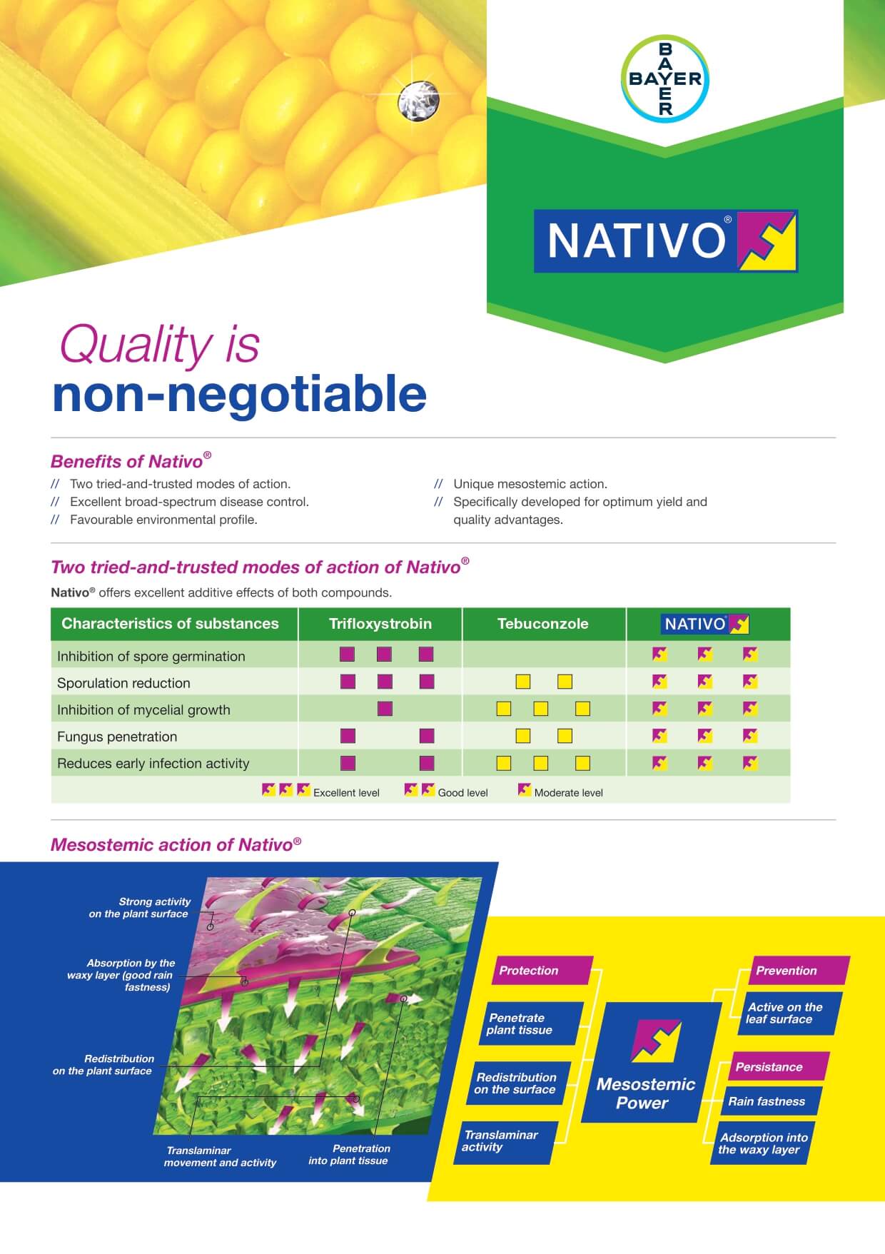 Bayer Maize - Nativo Leaflet