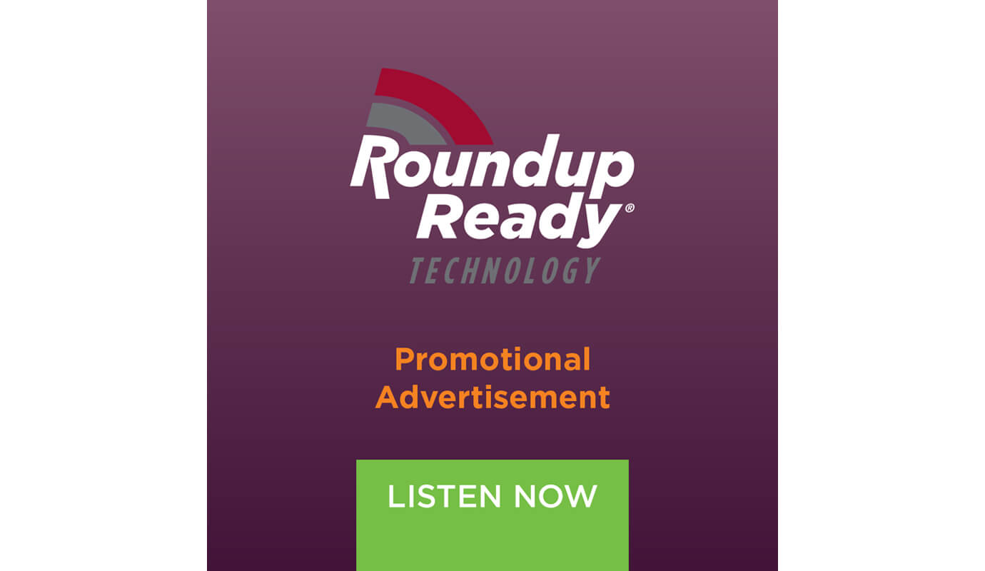 Roundup Ready Promotional Advertisement