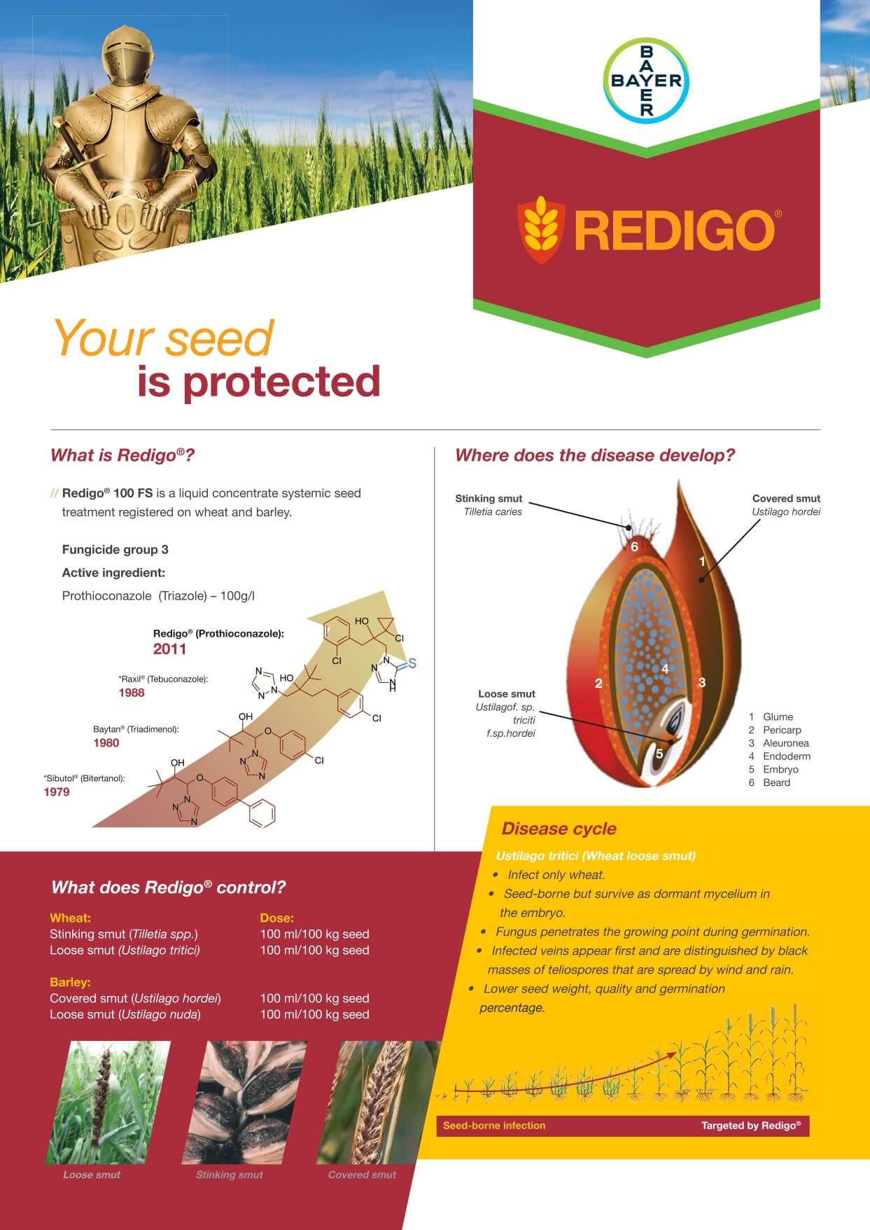 Bayer Wheat Redigo Leaflet