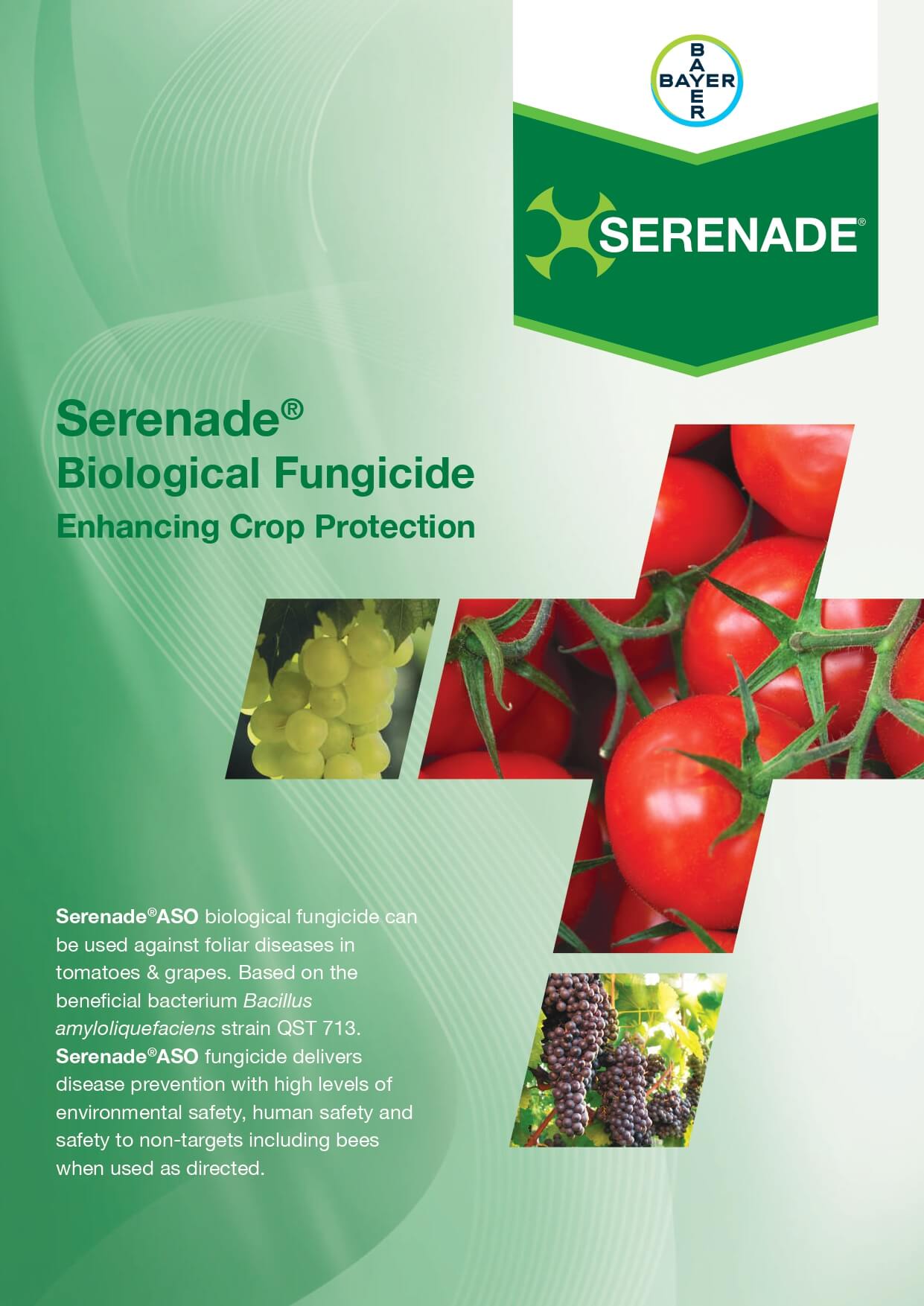 Bayer Veggie Serenade Leaflet