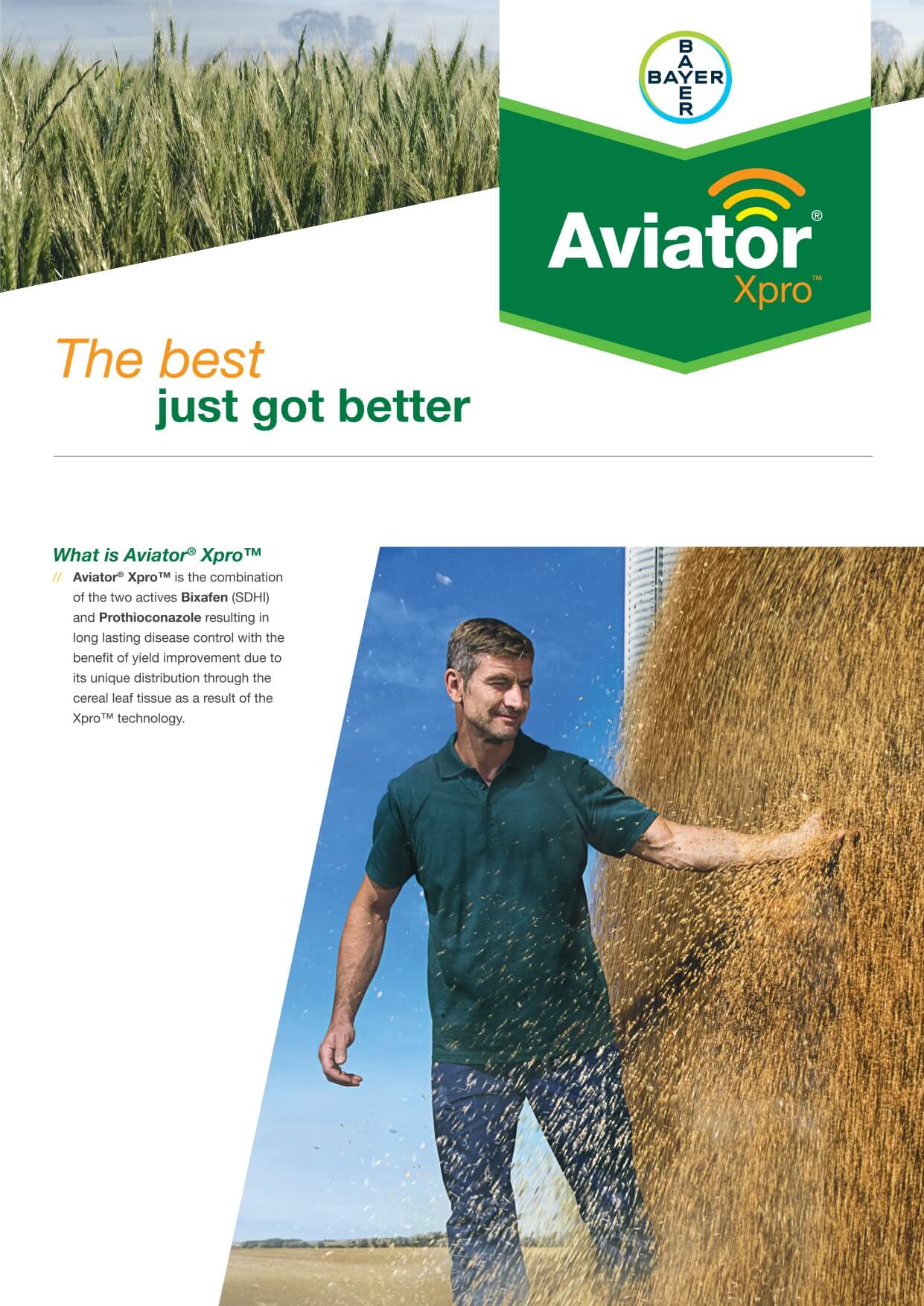 Bayer Wheat Aviator Leaflet