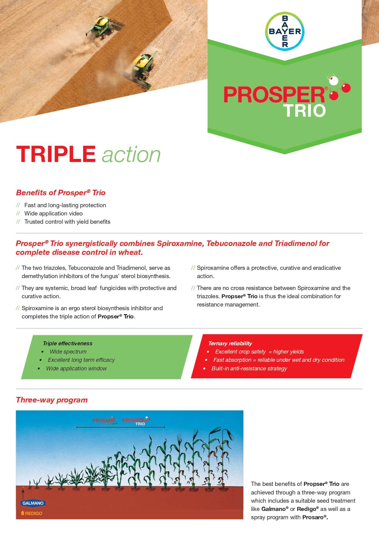 Bayer Wheat Prosper Trio Leaflet