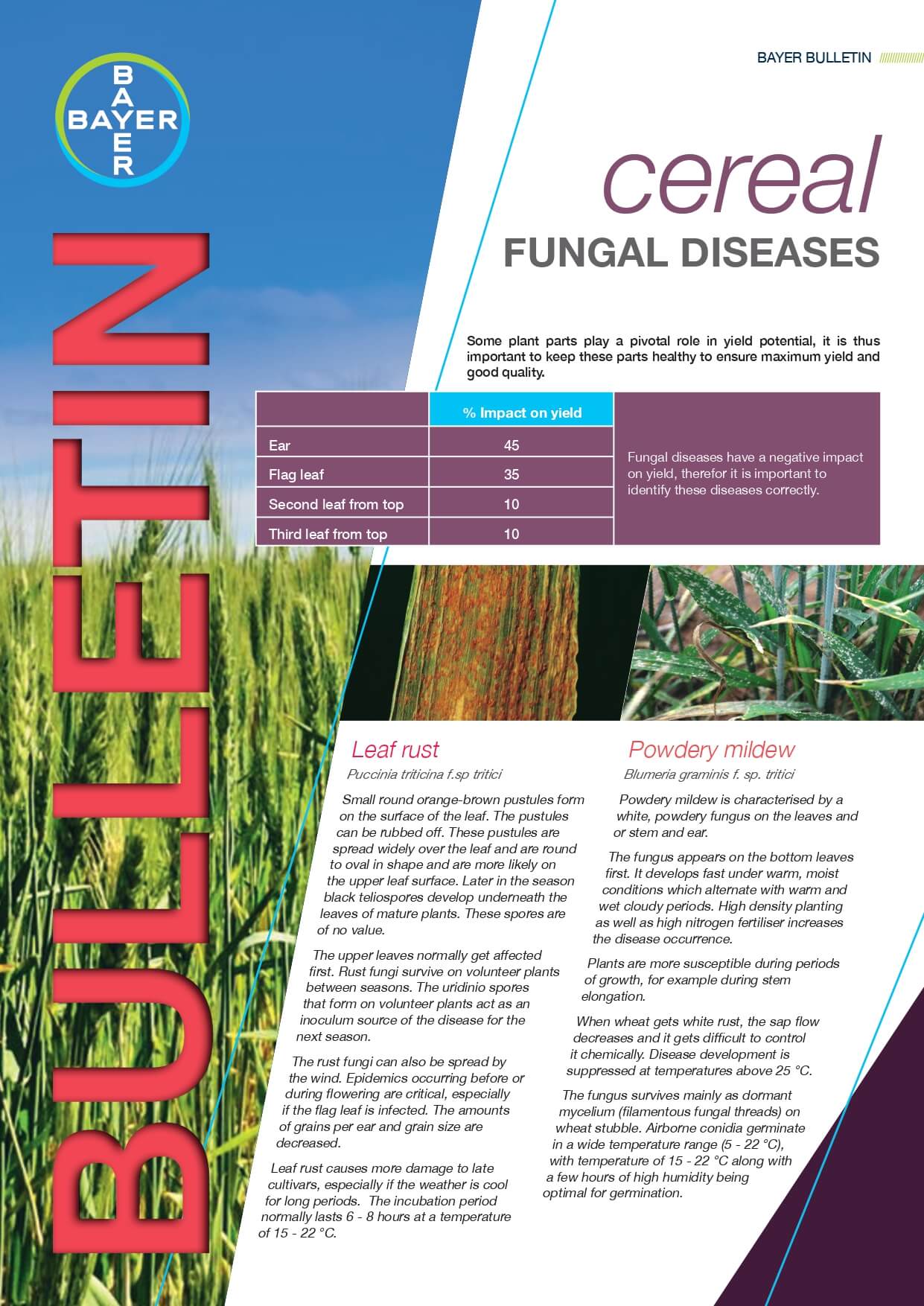 Cereal fungal diseases