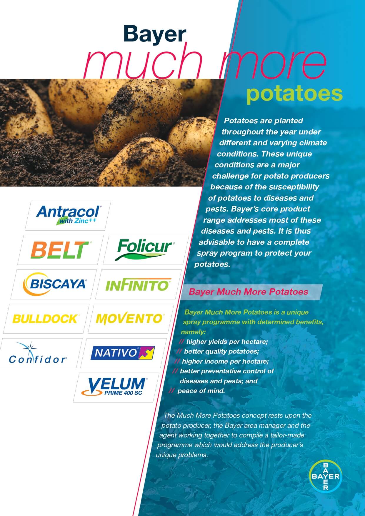 Bayer Potato Much More Leaflet